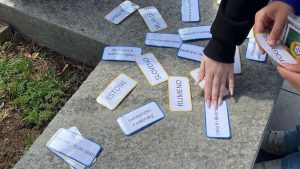 WhatsApp Image 2025-05-08 at 12.02.20